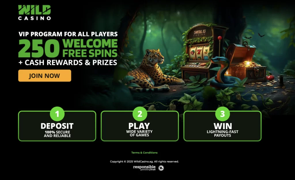 Wild casino bonus code